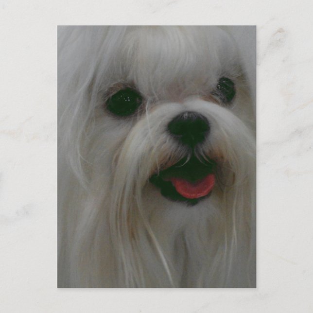 Carte Postale Personnaliser (Devant)