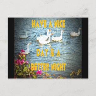 Carte Postale Personnaliser