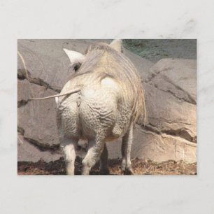 Carte Postale Personnaliser