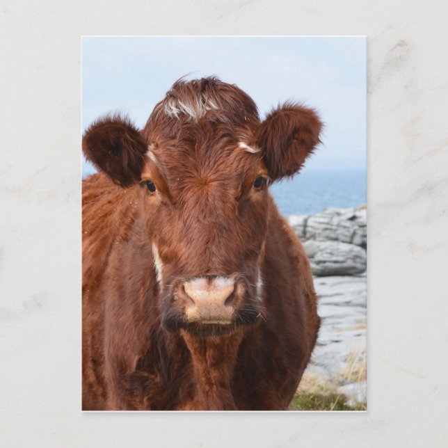 Carte Postale Personnaliser (Devant)