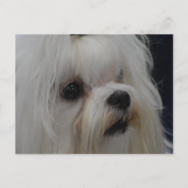 Carte Postale Personnaliser (Devant)