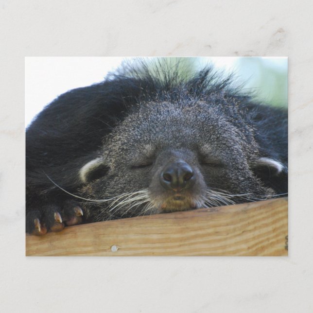 Carte Postale Personnaliser (Devant)