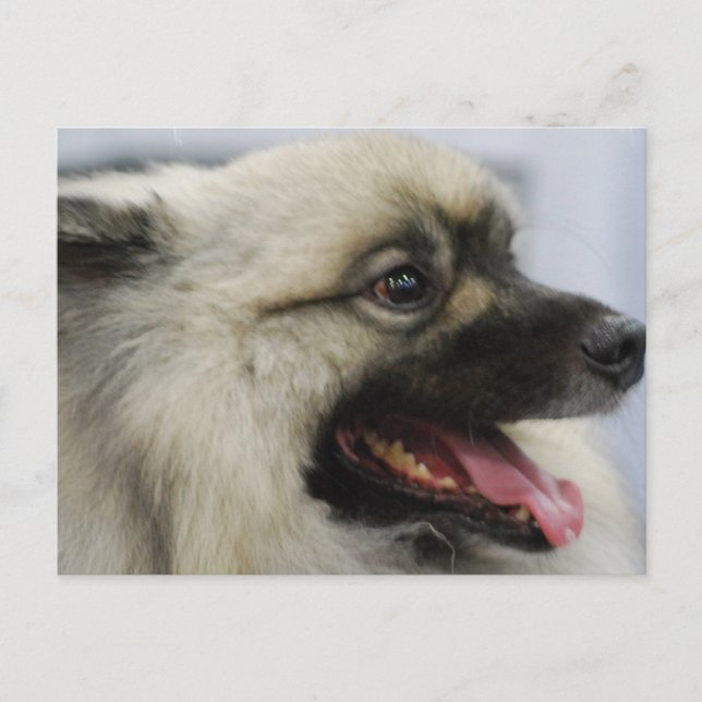 Carte Postale Personnaliser (Devant)