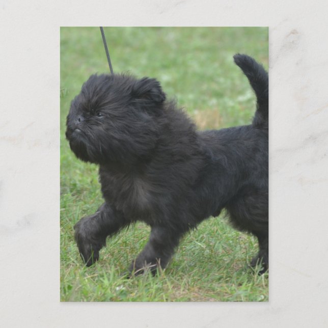 Carte Postale Personnaliser (Devant)