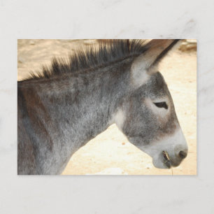 Carte Postale Personnaliser