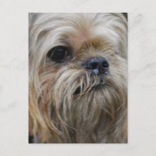 Carte Postale Personnaliser