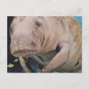 Carte Postale Personnaliser