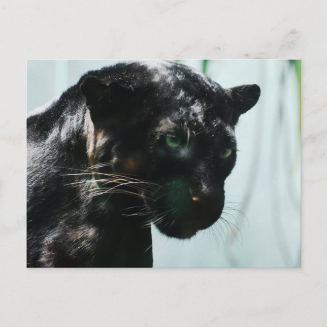 Carte Postale Personnaliser (Devant)