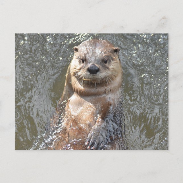 Carte Postale Personnaliser (Devant)