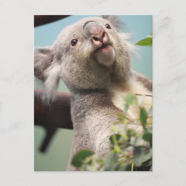 Carte Postale Personnaliser (Devant)
