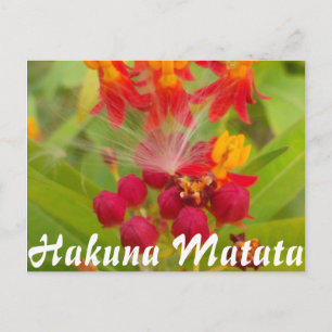 Carte Postale Personnaliser