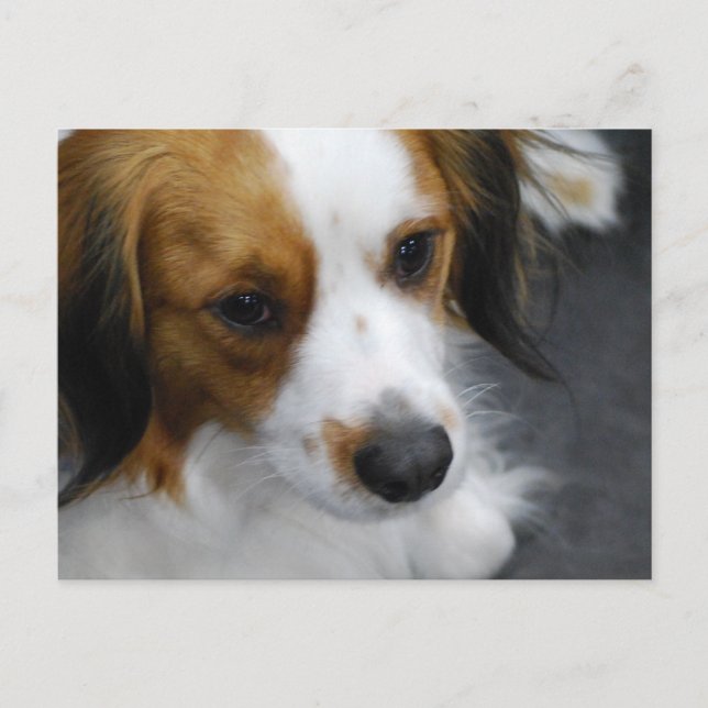 Carte Postale Personnaliser (Devant)