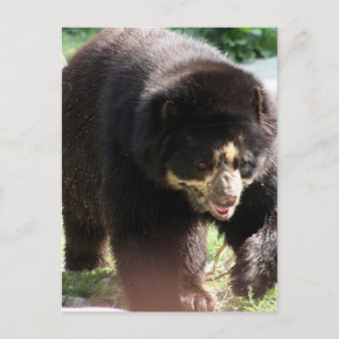 Carte Postale Personnaliser