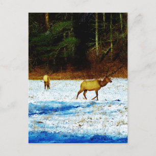 Carte Postale Personnaliser