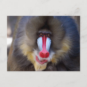 Carte Postale Personnaliser