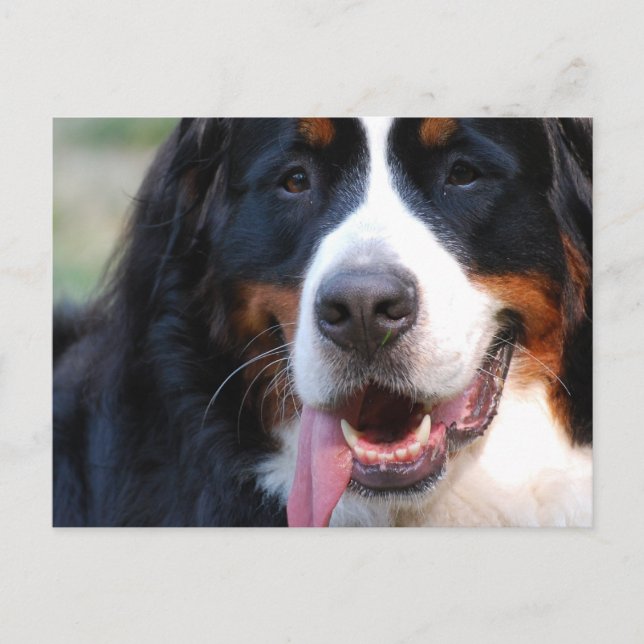 Carte Postale Personnaliser (Devant)