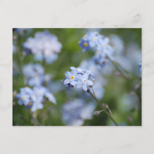 Carte Postale Personnaliser