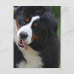 Carte Postale Personnaliser