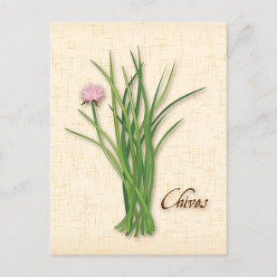 Carte Postale Personnaliser Chives Herb