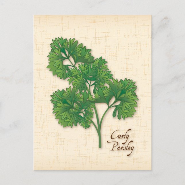 Carte postale Personnaliser Curly Parsley Herb (Devant)