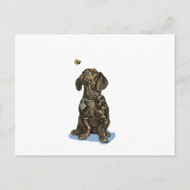 Carte Postale Personnaliser Dachshund et abeilles cadeaux d'art  (Devant)
