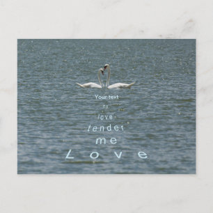 Carte Postale Personnaliser Deux Cygnes Aimez-moi tendre amour