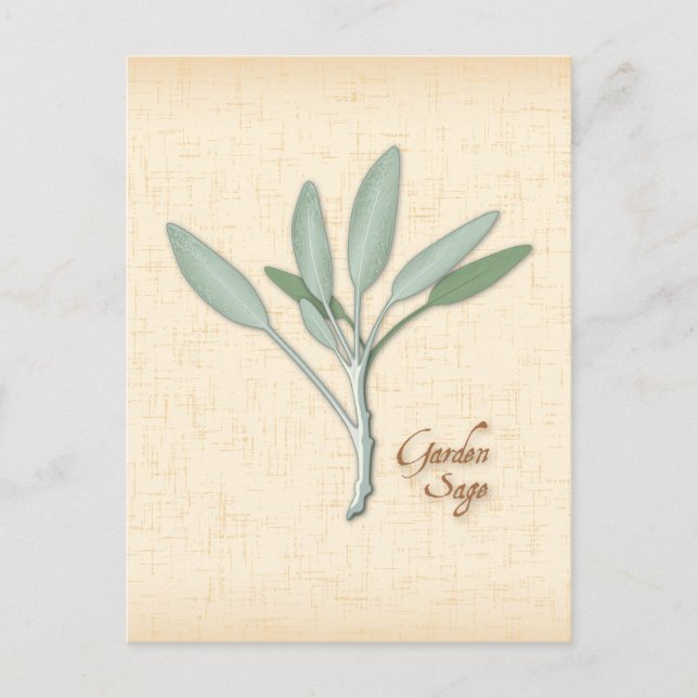 Carte postale Personnaliser Garden Sage Herb (Devant)