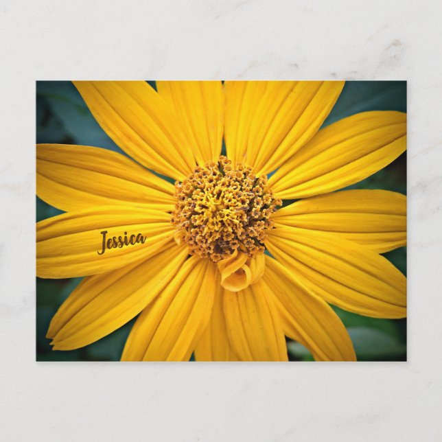 Carte Postale Personnaliser la belle fleur jaune (Devant)