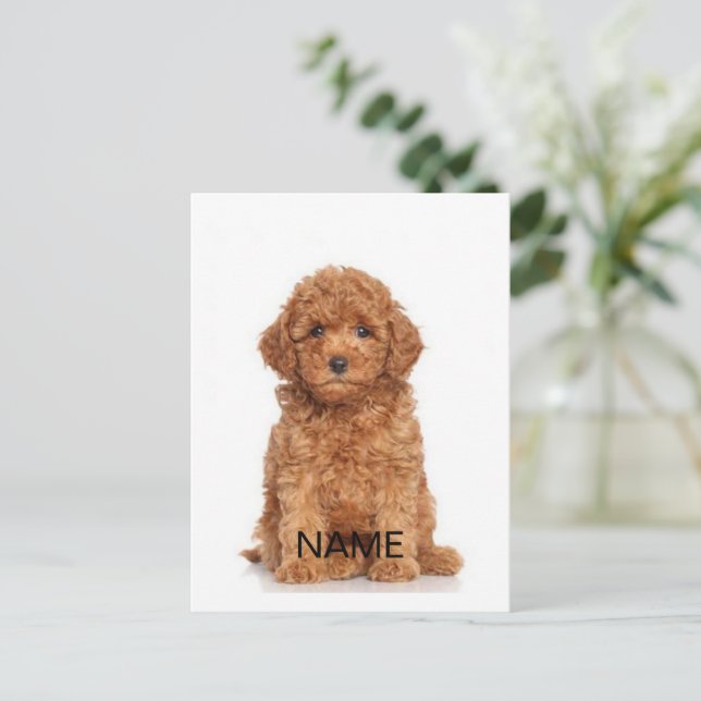 Carte Postale Personnaliser la Personnaliser avec photo & nom (Debout devant)