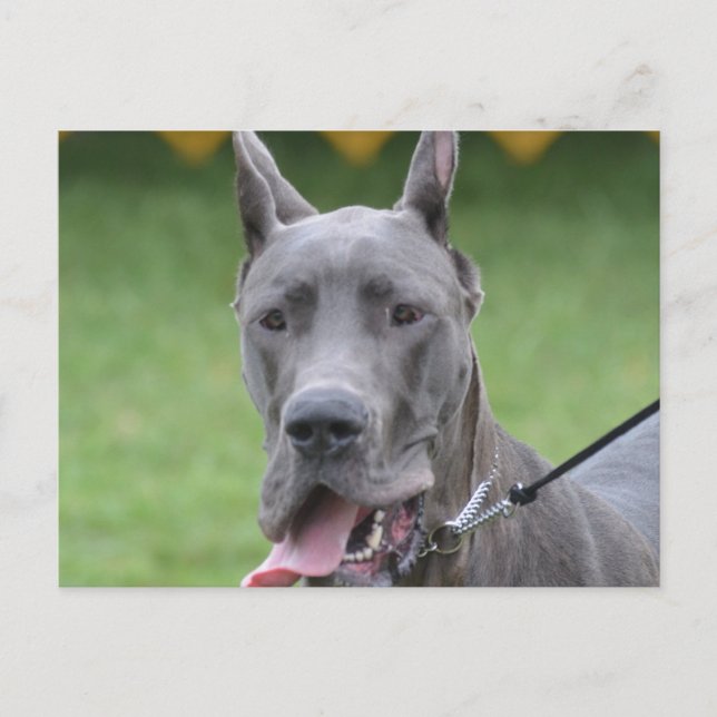 Carte Postale Personnaliser le produit (Devant)