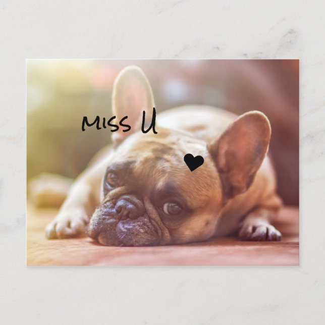 Carte Postale Personnaliser mignonne Doggy (Devant)