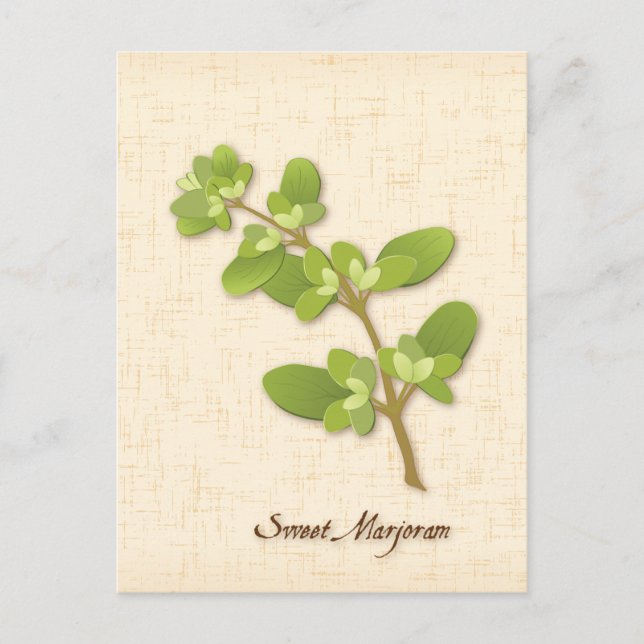Carte postale Personnaliser Sweet Marjoram (Devant)