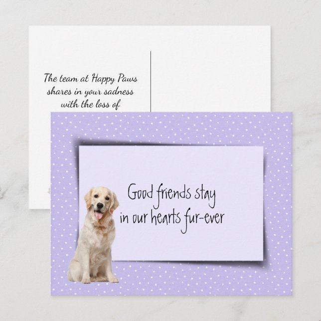 Carte Postale Perte de chien Retriever doré par le vétérinaire (Devant / Derrière)