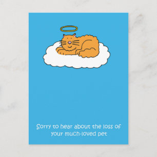 Carte Postale Perte de la sympathie du chat animal de compagnie