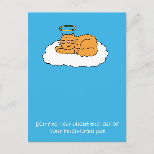 Carte Postale Perte de la sympathie du chat animal de compagnie (Devant)