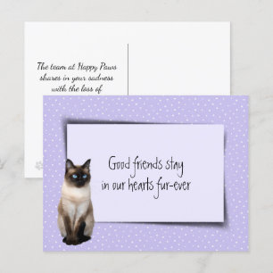 Carte Postale Perte d'un chat siamois chez le vétérinaire