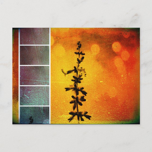 Carte postale Pervoskia Collage Aflame (Devant)