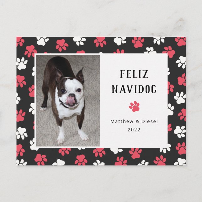 Carte Postale Pet Christmas Card Photo Funny (Devant)