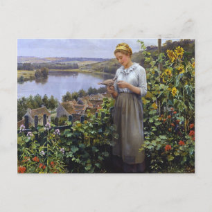 Carte Postale Pet Dove - Daniel Ridgway Knight
