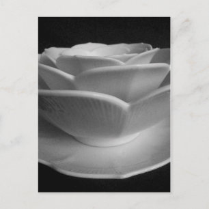 Carte Postale Pétales de fleurs