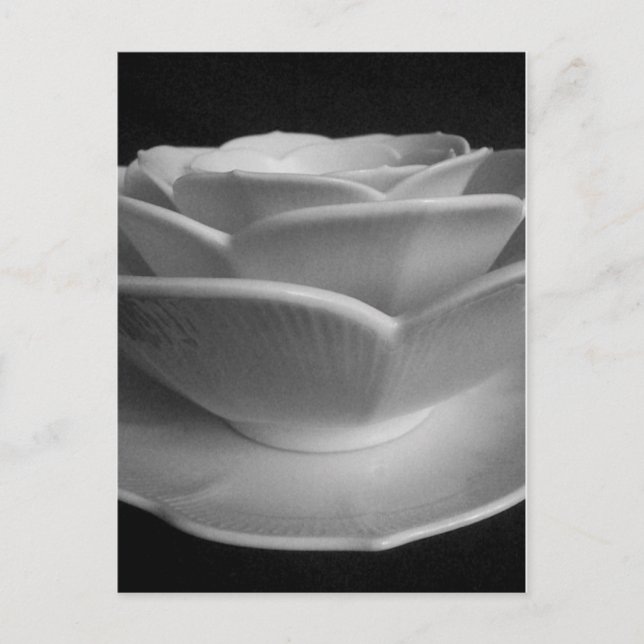 Carte Postale Pétales de fleurs (Devant)