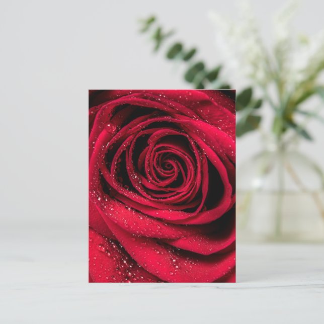 Carte Postale Pétales de rose 1 (Debout devant)