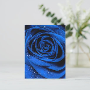 Carte Postale Pétales roses 3