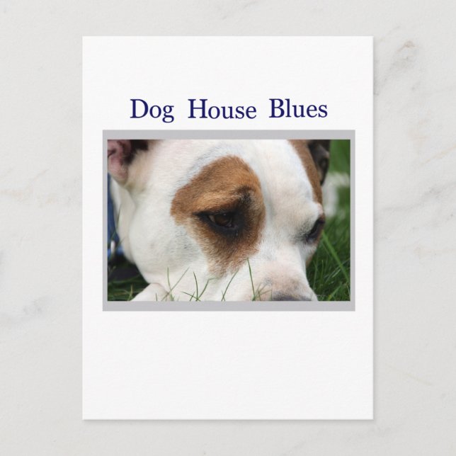 Carte Postale Pete Pit1 (Devant)