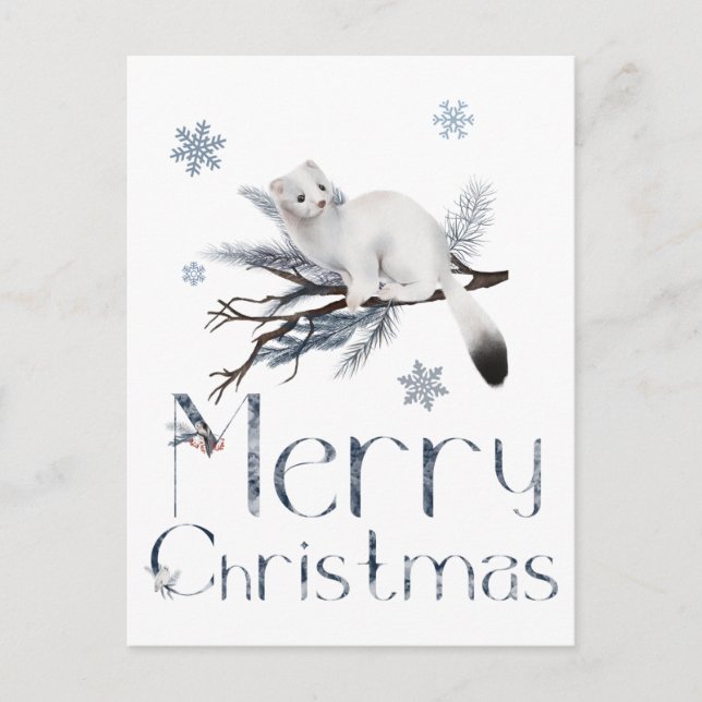 Carte Postale Petit animal belette blanche sur un pin (Devant)