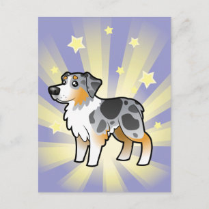 Carte Postale Petit Berger australien Star