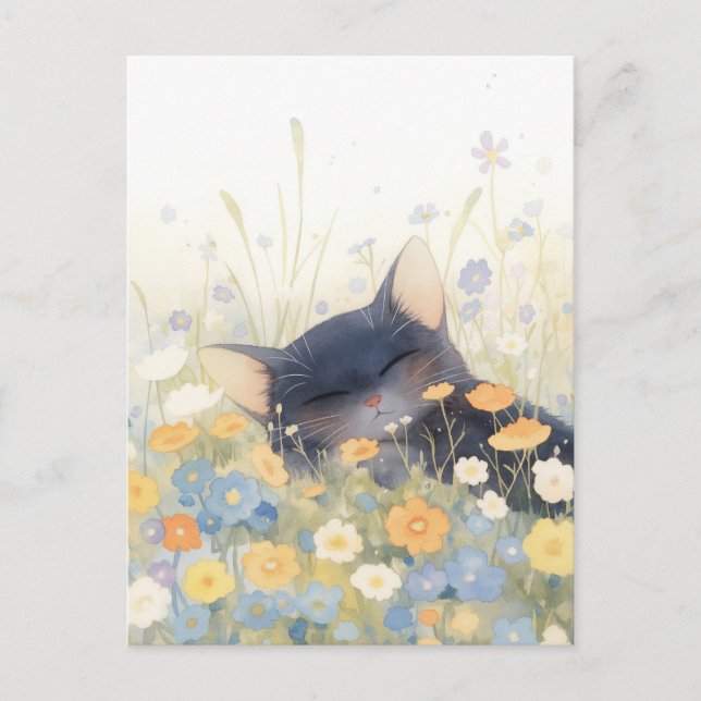Carte Postale Petit Chat Noir Endormi dans une Prairie de Fleurs (Devant)