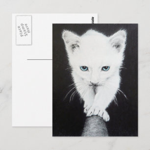 Carte Postale Petit chaton blanc Dessin animal Amoureux de les c