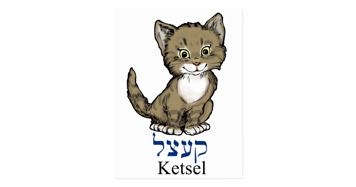 Carte Postale Petit Chaton Mignon Ketsel Dans Yiddish Zazzle Fr