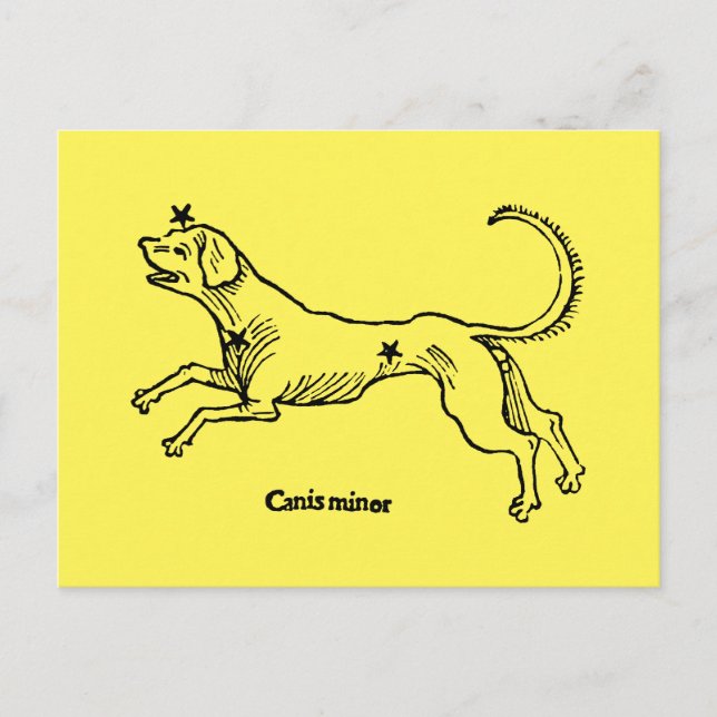 Carte Postale Petit Chien, 1482 (Devant)